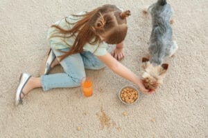 Child feeding small dog treats on carpet.